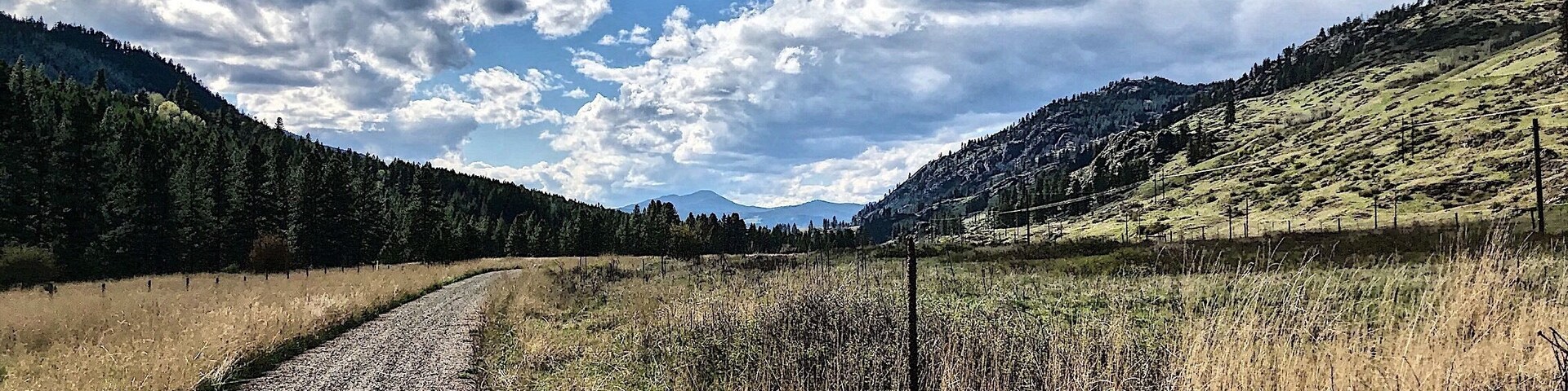 A great day on the Kettle River Rail Trail just west of Cascade, BC.