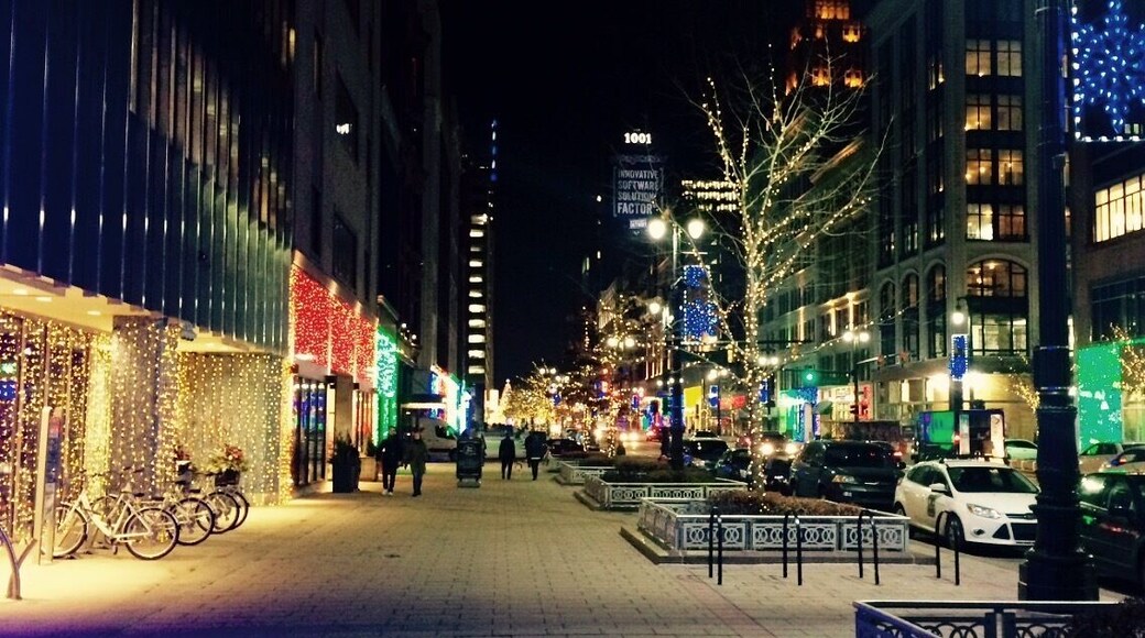 Holiday lights in Downtown Detroit!