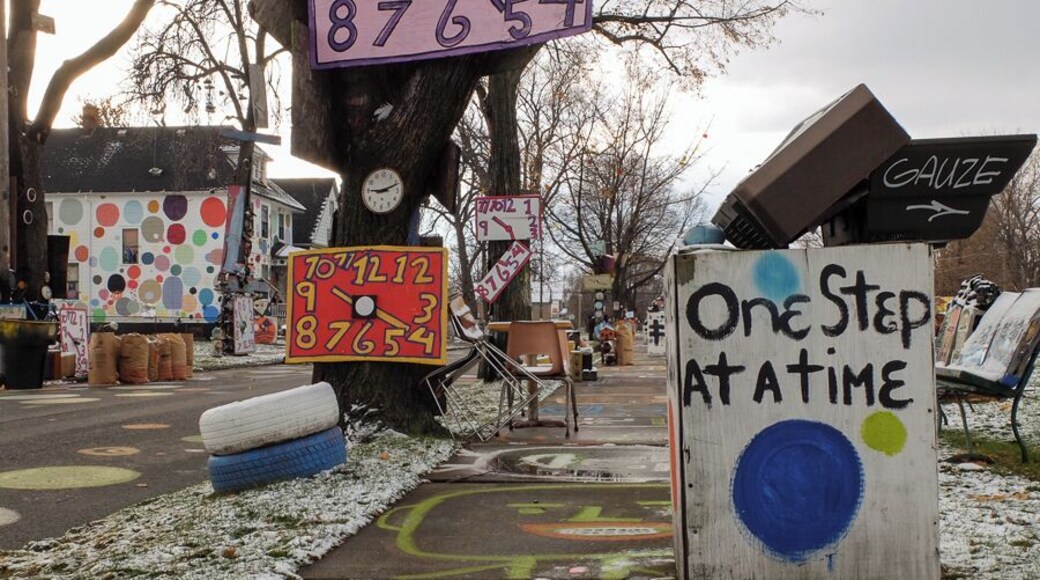 The Heidelberg project which gets its name from Heidelberg street is a neighborhood art project. A once run down neighborhood, resident Tyree Guyton has transformed abandoned junk into a massive outdoor exhibit.