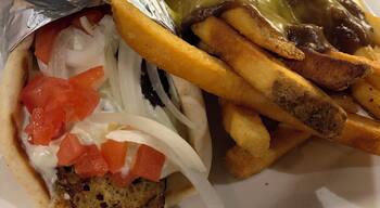 Incredible VEGAN gyro at this great little place in downtown Detroit. I’ve been hungry for it since I had it. Got it with chili cheese fries. Yum. The menu is entirely vegan. What a gem. It is in an area that looks to be actively gentrifying, so a fair number of boarded up and vacant lots, but close to tons of venues. #OnTheRoad