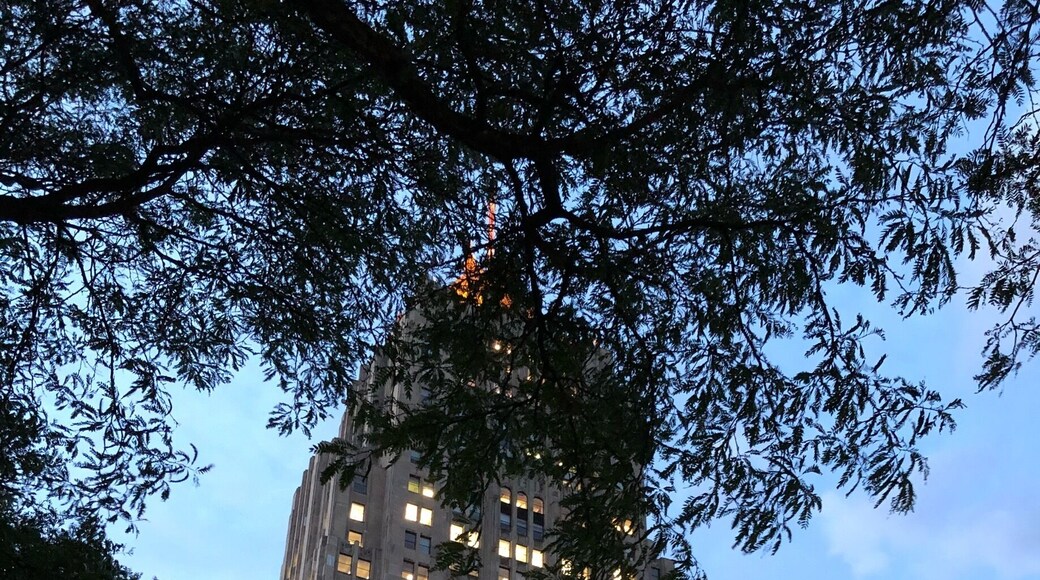 Great view of The Fisher Building from the park across the street.