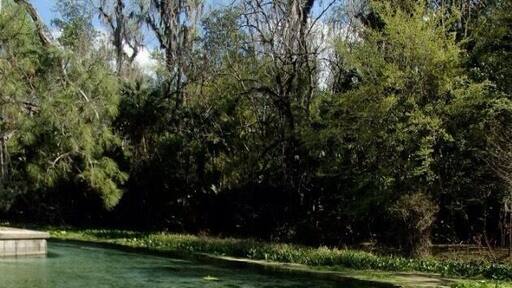 克里斯特尔斯普林斯