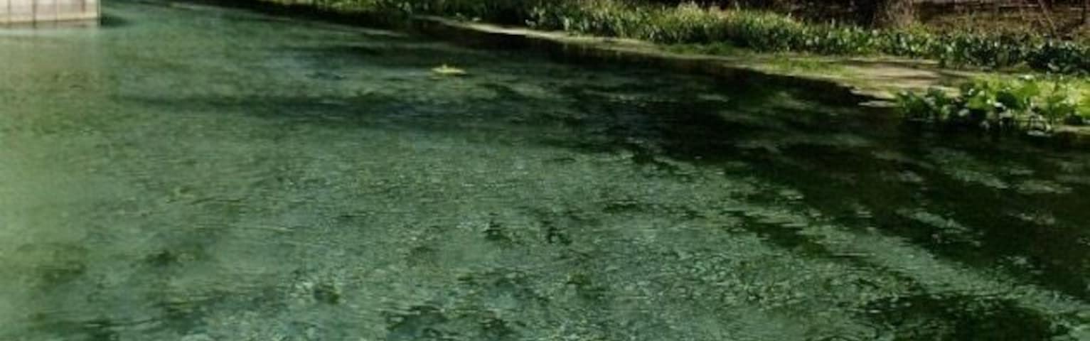 Natural springs crystal clear water near orlando