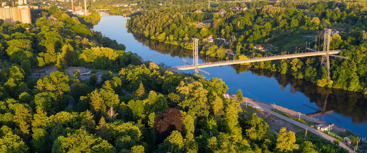 A river with a bridge and surrounding greenery.