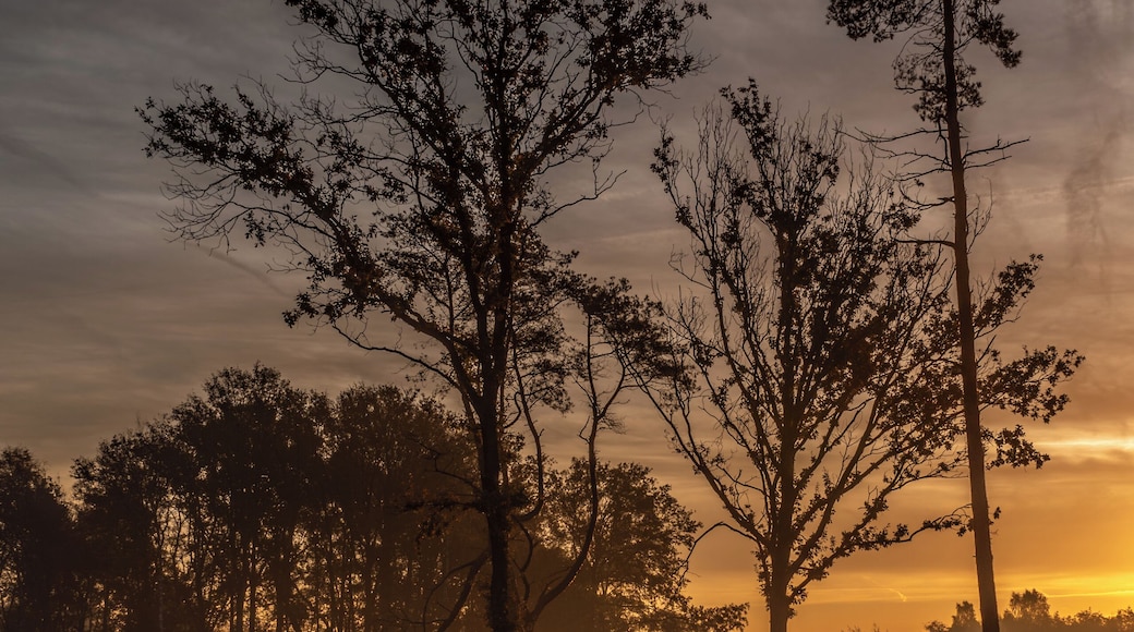 Trying out landscape photography. Rozenven.