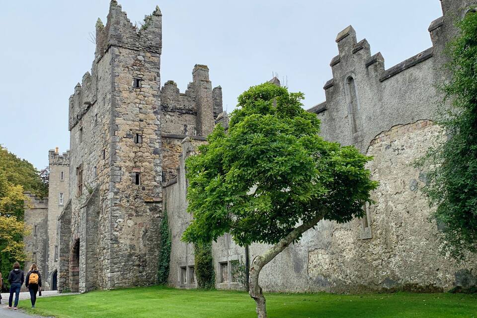 A historic stone castle with turrets and ivy-covered walls.