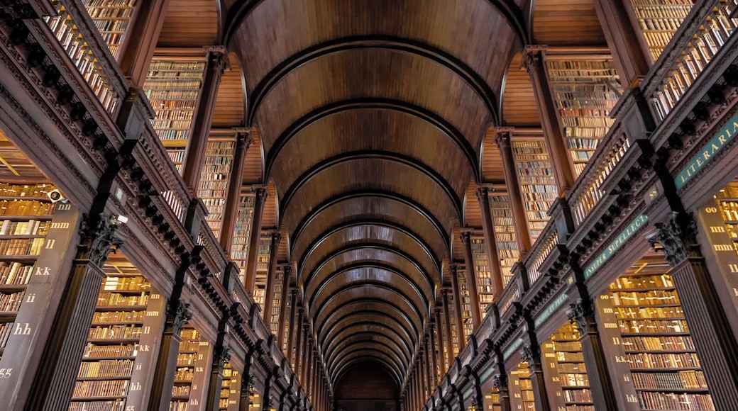 Trinity College Library, Dublin
Established with Trinity College in 1592, this is the largest library in Ireland and home to the Book of Kells manuscripts. It's an incredibly beautiful space that presents a challenge to photograph. No tripods allowed, mixed lighting sources, and crowds of tourists (I angled my camera up over their heads). This was shot at ISO 6400 with significant noise reduction in post.