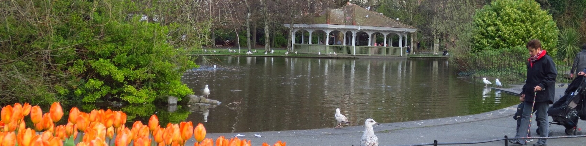 Tulips and other spring flowers in full bloom on a cool, but partly sunny April afternoon in historic Dublin. Great place to watch the children play and couples relax on the benches surrounding thousands of tulips of many types and colors!