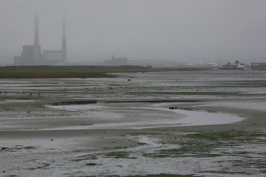 It might surprise people to hear that Ireland is not all sun and blue skies! Ireland's wetlands in winter are of inordinate importance for wildfowl and wader. Just about 15 minutes drive from the centre of Dublin city lies Bull Island, the site with the most environmental designations on the island of Ireland. Take a short tour when visiting Dublin and watch 30,000 birds feeding and flying, all from the public road.