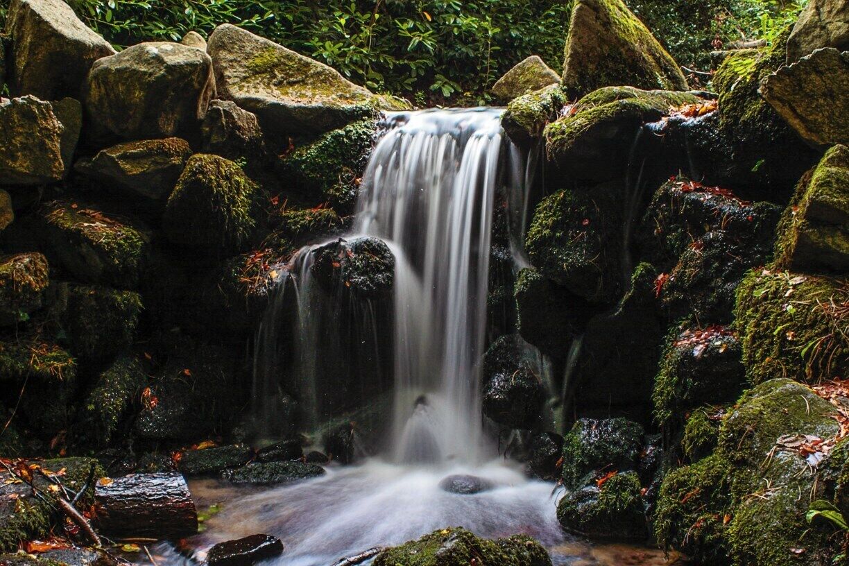 were so lucky to have this park nearby. It has everything.. football pitches, forest walks, wild meadow, golf course, duck pond, farmers market, tennis courts, play areas and concerts in the summer.