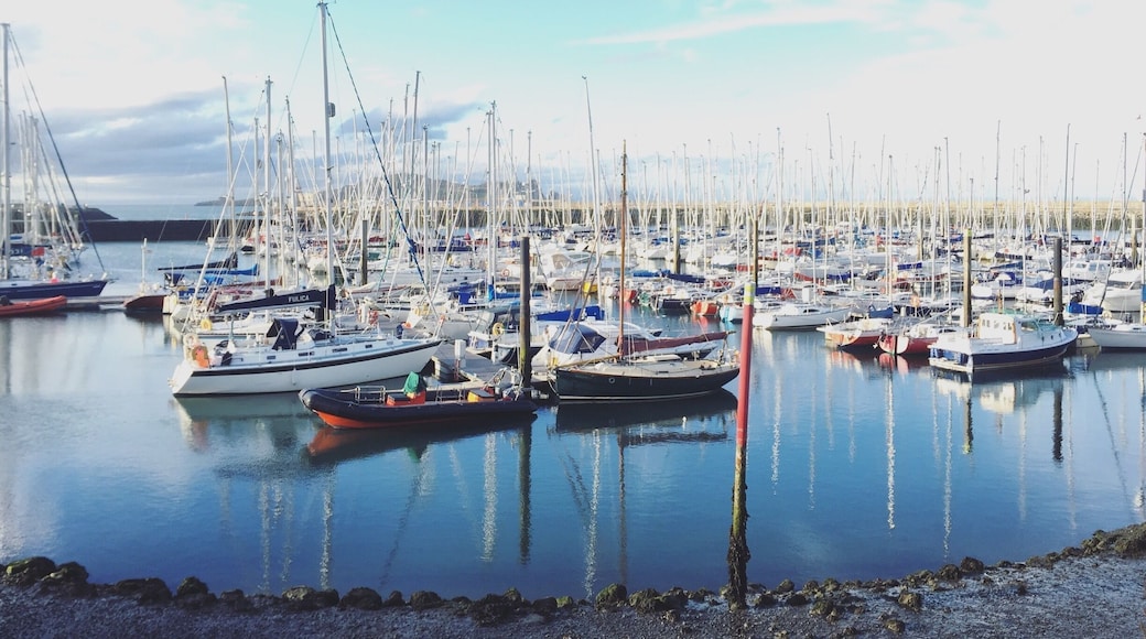 Howth in the summer. If you're in Dublin I encourage you to take the 20 minute train to this beautiful village. If you're not in Dublin, what are you waiting for? 🍀🇮🇪
#Dublin #Merch