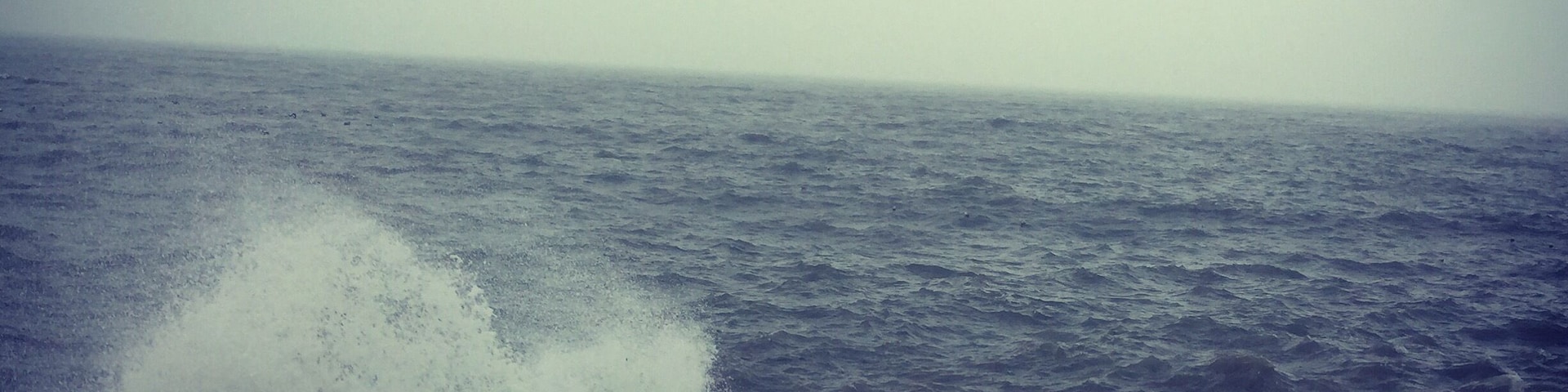 Just the Luas station and its beautiful in blackrock