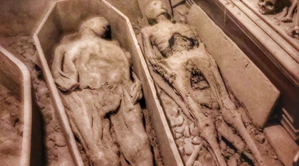 Inside the centuries-old crypts at St. Michan’s Church, Dublin. The Cryptkeeper will fascinate you with stories of the inhabitants. Hard to find, but worth the work!
#InStone
