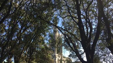 Una chiesa circondata da alberi.