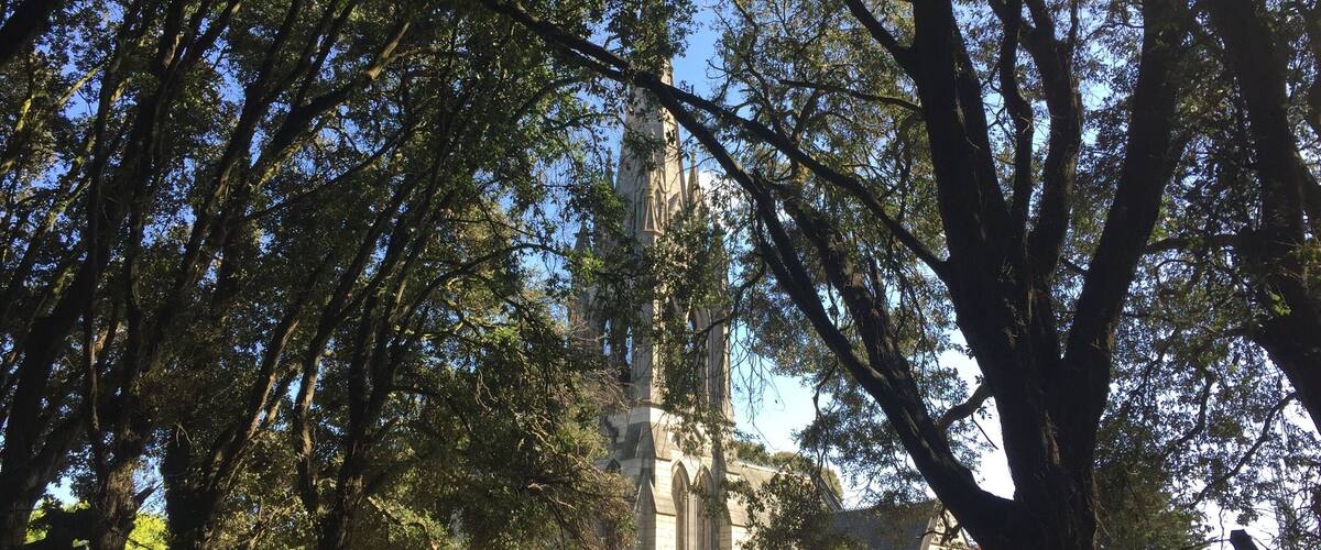 A church surrounded by trees.