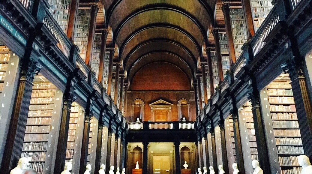 A magnificient library.