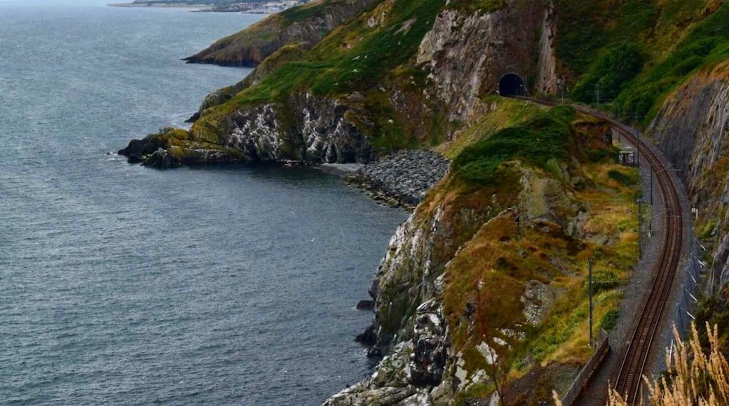 Bray to Greystones Coastal walk. Beautiful spot.
