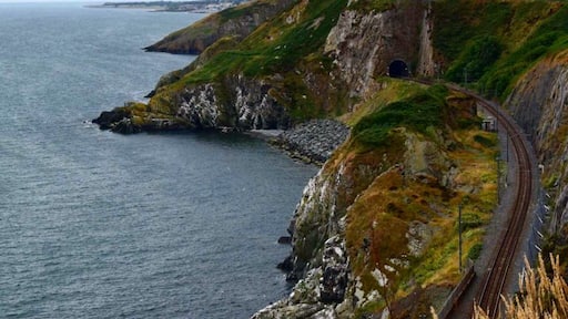 Bray to Greystones Coastal walk. Beautiful spot.