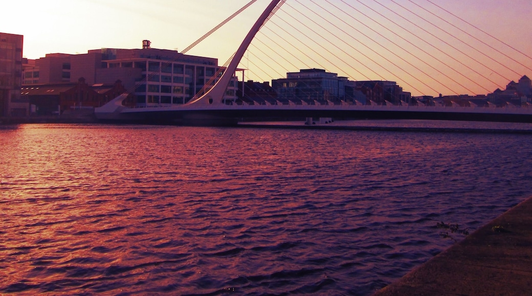 The bridge is meant to evoke the symbol of the harp (also the Guinness logo) which is the coat of arms of Ireland. The bridge is named for Irish writer Samuel Beckett and was officially opened to pedestrians in december 2009.