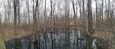 The vernal pool at Gahanna Woods State Nature Preserve. Since there are no fish in a vernal pool, salamanders can breed without the concern of their eggs being devoured by predators.