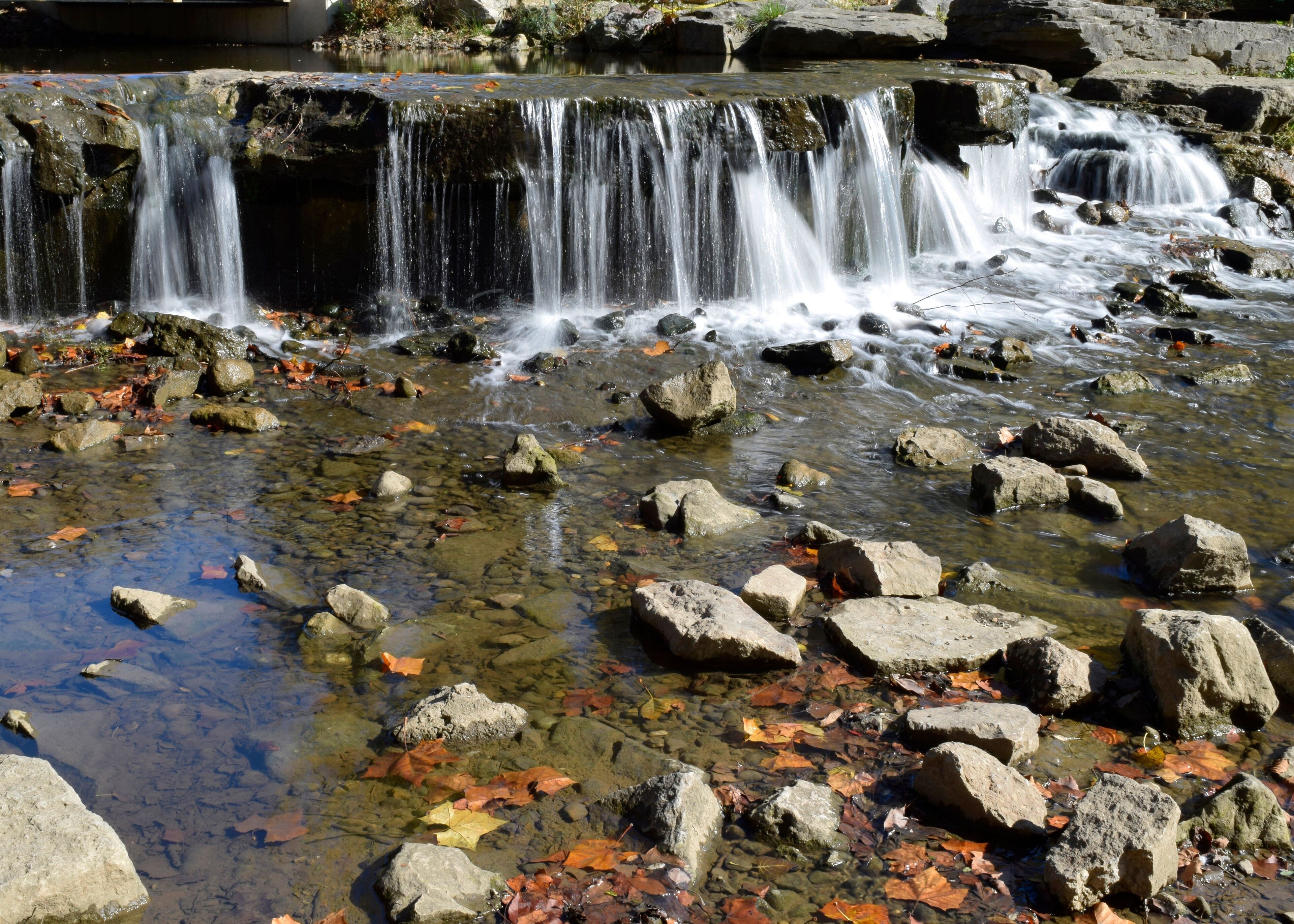 Waterfall in the woods at Creekside Park, Gahanna, Ohio