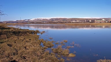 Newshot Island Inlet, River Clyde Looking downstream to the Erskine Bridge. Clydebank hospital on the right. Kilpatrick Hills in the distance.