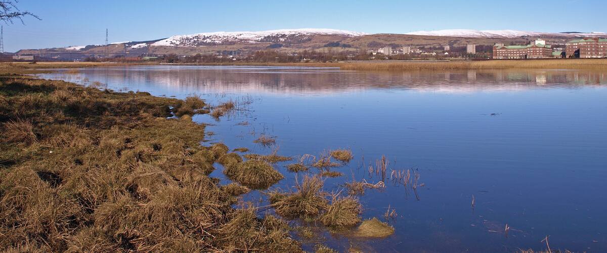 A calm lake with surrounding grass and a distant snow-capped mountain range.