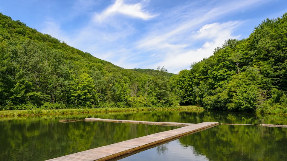 A calm lake with a wooden dock extending into the water, surrounded by lush green hills under a clear blue sky.