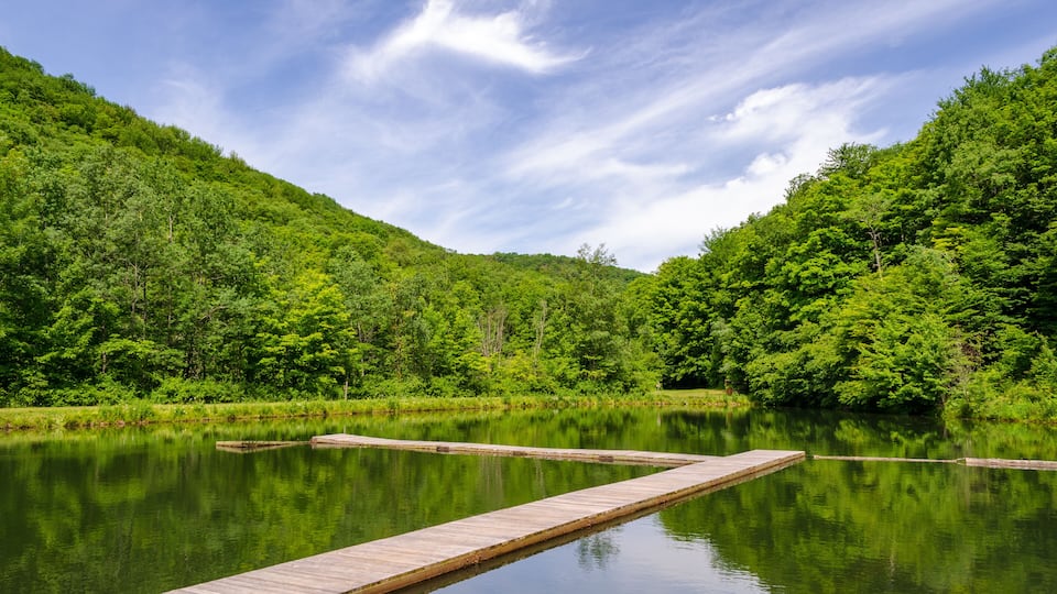 A serene lake with a wooden dock extending into the water, surrounded by lush green hills and a clear blue sky.