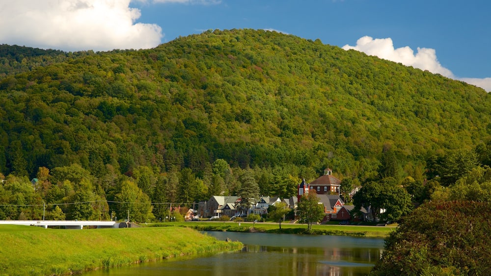 A lake surrounded by a forested hill, houses, and a bridge.