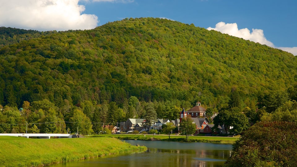 A lake surrounded by a forested hill, houses, and a bridge.