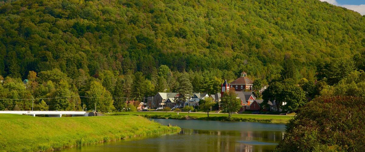 A lake surrounded by a forested hill, houses, and a bridge.