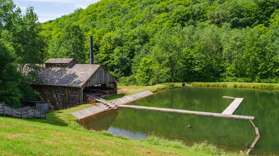 A rustic wooden building near a pond with a dock, surrounded by lush green forest.