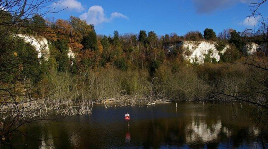 Pond in the Pit This small lake is in the northeast corner of Grays Thurrock Chalk Pit (now renamed Grays Gorge). It is an SSSI see http://www.english-nature.org.uk/citation/citation_photo/1003111.pdf and is part of the Chafford Gorges Nature Reserve http://www.essexwt.org.uk/visitor_centres__nature_reserves/chafford_gorges/ owned by Essex Wild Life Trust.