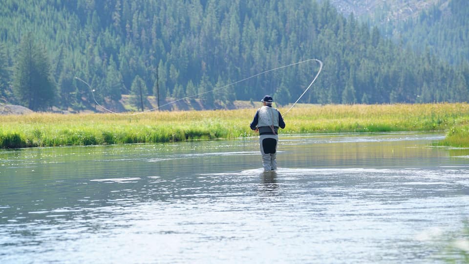 Fly-fisherman fishing in Madison river, Yellowstone Park