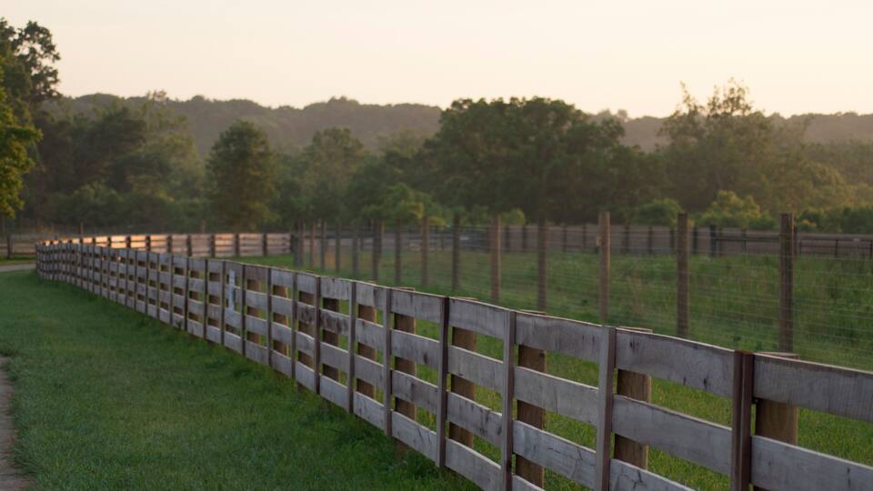 A wooden fence along a grassy path with trees and hills in the background.