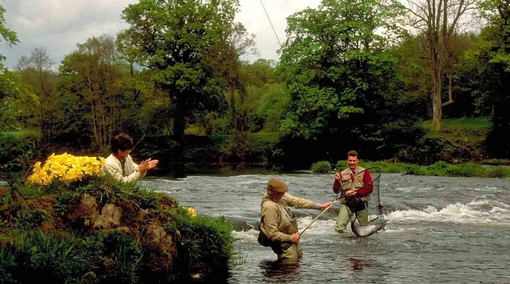 Powys showing a river or creek and fishing as well as a small group of people