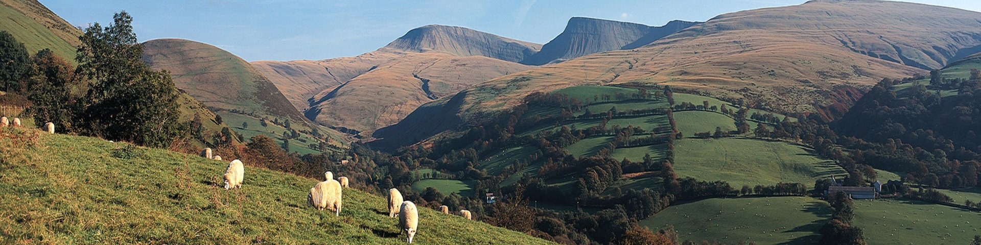 Powys caracterizando fazenda, cenas tranquilas e animais fofos ou amigáveis