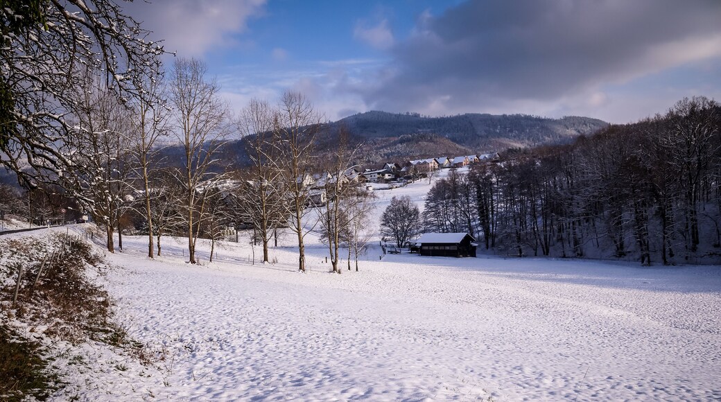 View over a farm and a little village in the Black Forest, Germany, covered in snow during winter.