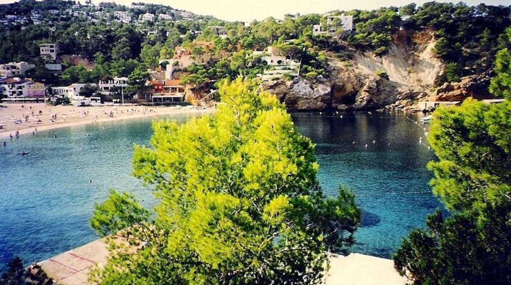 Vista de Cala Vedella des del nord (Eivissa)