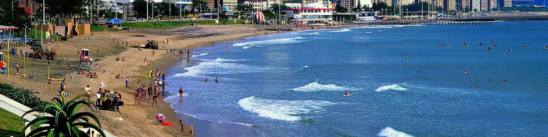 Durban which includes tropical scenes, general coastal views and a skyscraper