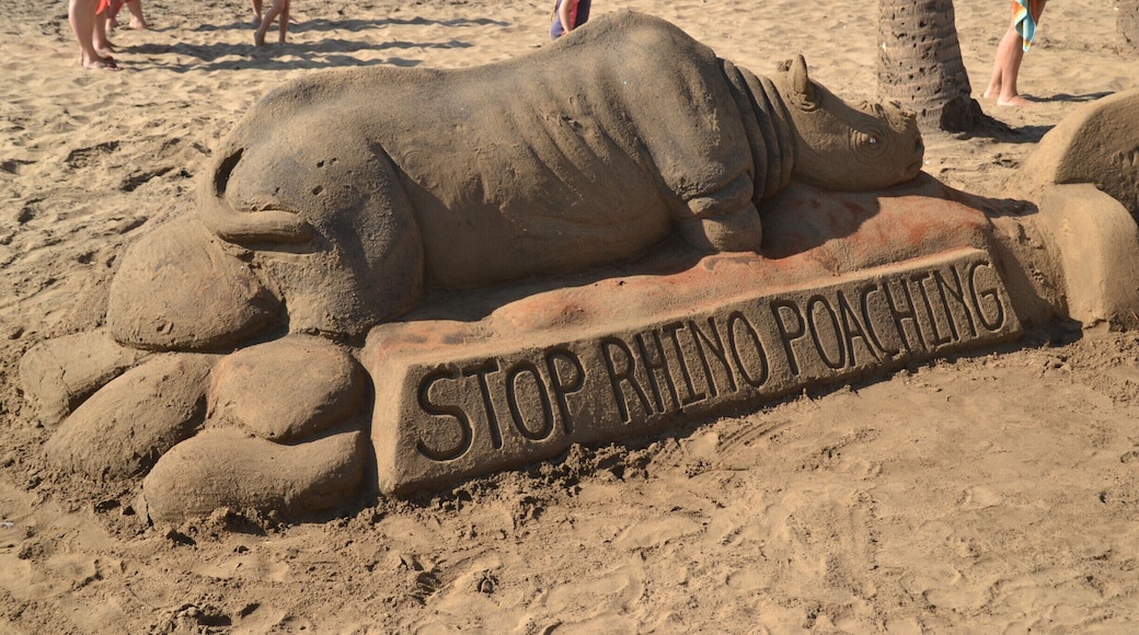 An important message from some sand (castle) artists in Durban, South Africa. An amazing piece, right?
#southafrica #africa #durban #art #beach #wildlife