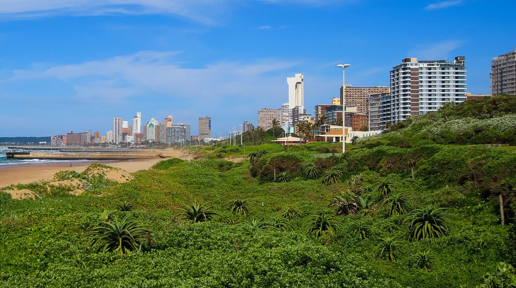 Un paysage urbain côtier avec une plage, une végétation luxuriante et des immeubles de grande hauteur.