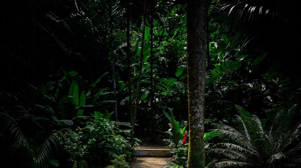 One of the many stunning boardwalks through the Garden of the Sleeping Giant 😍