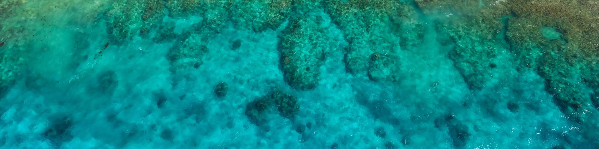 D Fiji Reefs hideaway cove top down