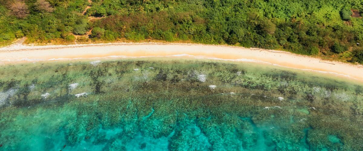 A clear turquoise sea with visible coral formations, a sandy beach, and a dense forested area.