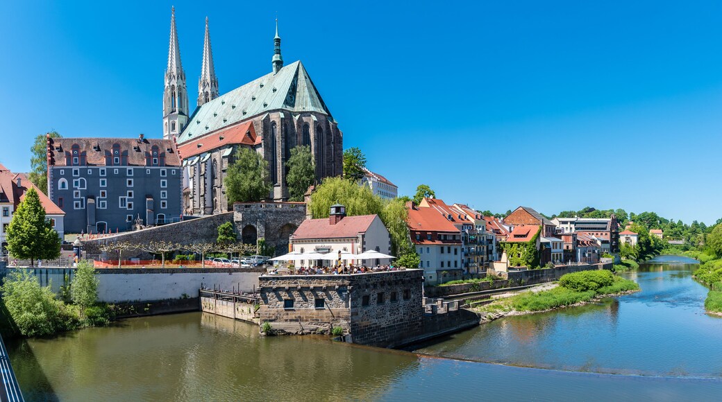 A historic town with a prominent church, a river, and surrounding greenery.