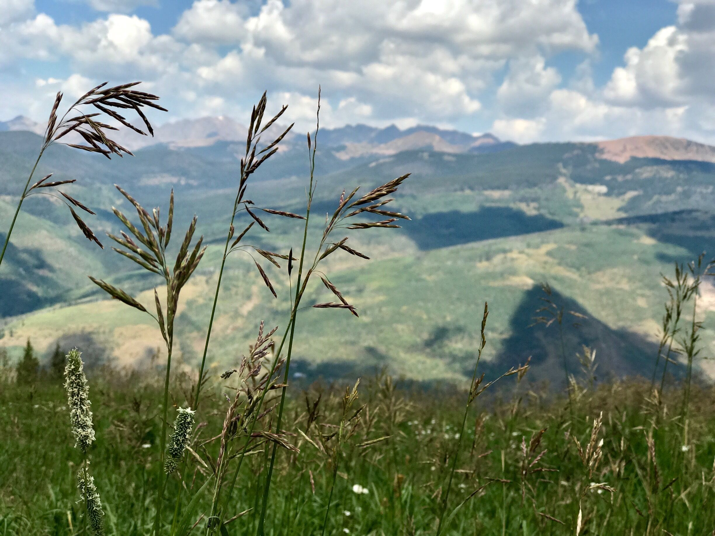 Hiking the trails of Avon Co. 