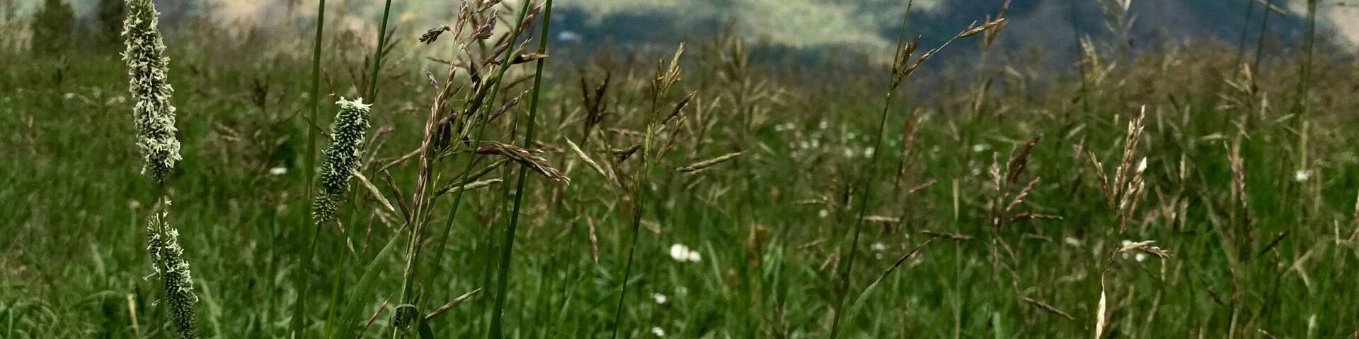 Hiking the trails of Avon Co.