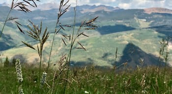 Hiking the trails of Avon Co.